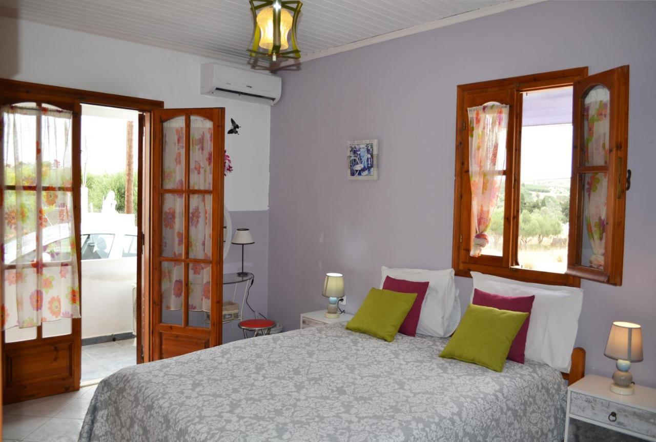 Villa Zahner Pitsidia Exteriör bild
